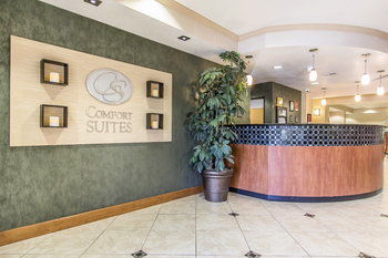 Comfort Near Campbell Hotel Hopkinsville